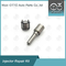 OEM 7135-730 Delphi Injector Repair Kit completo