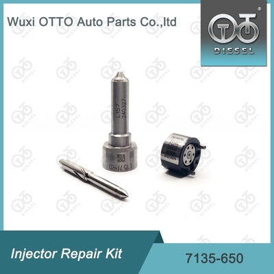 Kit di riparazione dell'iniettore Delphi R04701D
