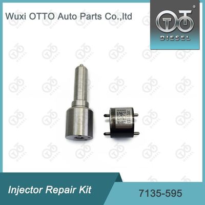 7135-595 Kit di riparazione dell'iniettore