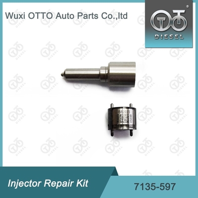 7135-597 Kit di riparazione dell'iniettore Delphi