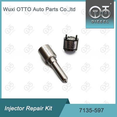 7135-597 Kit di riparazione dell'iniettore Delphi