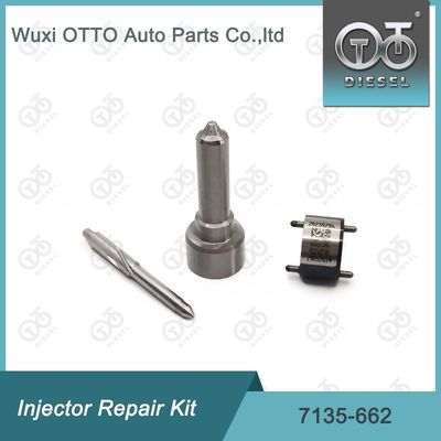 7135-662 Kit di riparazione dell'iniettore Delphi per iniettori R05001D Kit di valvole a ugello Include ugello L252PRD