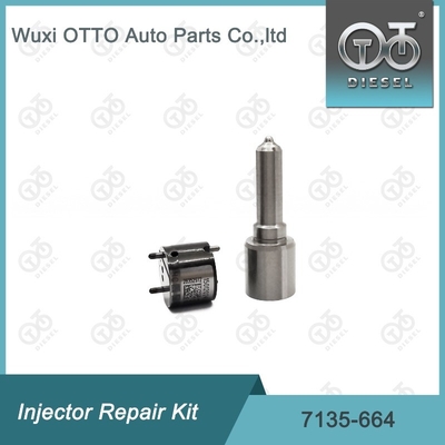 Kit di riparazione dell' iniettore Delphi Nozzle-Valve Kit 7135-664