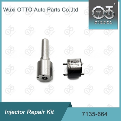 Kit di riparazione dell' iniettore Delphi Nozzle-Valve Kit 7135-664