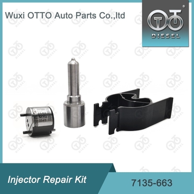 7135-663 Kit di riparazione dell'iniettore Delphi