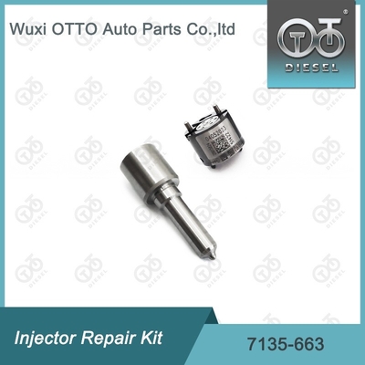 7135-663 Kit di riparazione dell'iniettore Delphi