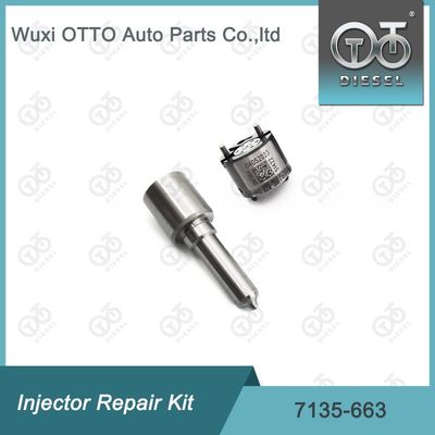 7135-663 Kit di riparazione dell'iniettore