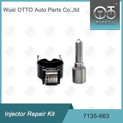7135-663 Kit di riparazione dell'iniettore Delphi