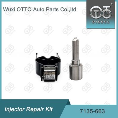 7135-663 Kit di riparazione dell'iniettore