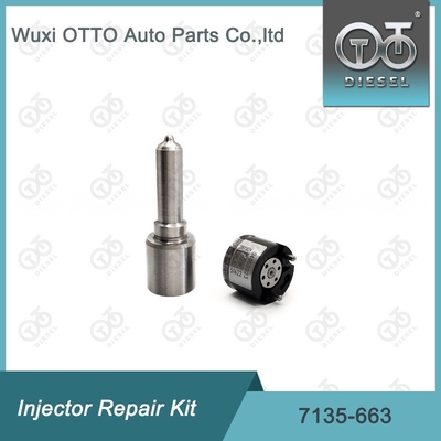 7135-663 Kit di riparazione dell'iniettore Delphi