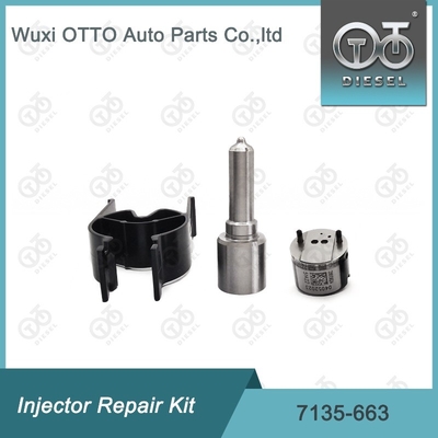7135-663 Kit di riparazione dell'iniettore Delphi