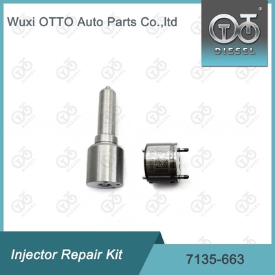 7135-663 Kit di riparazione dell'iniettore Delphi