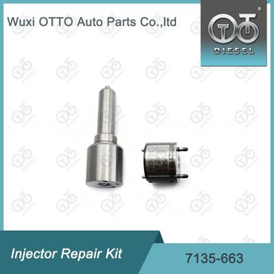 7135-663 Kit di riparazione dell'iniettore