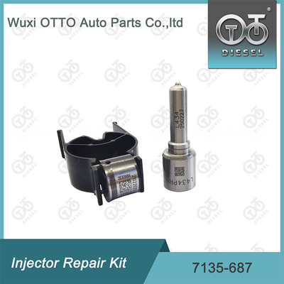 Kit di riparazione dell' iniettore Delphi Nozzle-Valve Kit 7135-687