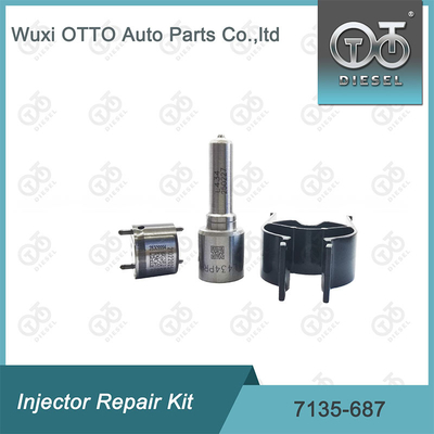 Kit di riparazione dell' iniettore Delphi Nozzle-Valve Kit 7135-687