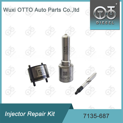 Kit di riparazione dell' iniettore Delphi Nozzle-Valve Kit 7135-687