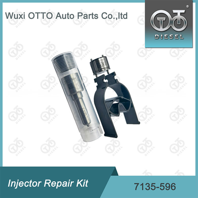 7135-596 Kit di riparazione dell'iniettore Delphi