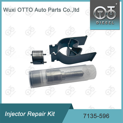 7135-596 Kit di riparazione dell'iniettore Delphi