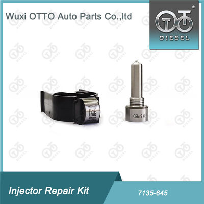 Kit di riparazione dell'iniettore di ugello-valvola Kit di riparazione dell'iniettore di ugello-CVA 7135 - 645 Common Rail