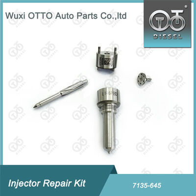 Kit di riparazione dell'iniettore di ugello-valvola Kit di riparazione dell'iniettore di ugello-CVA 7135 - 645 Common Rail