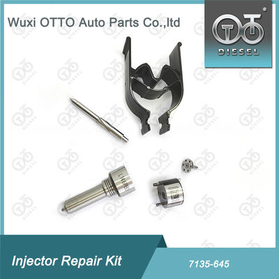 Kit di riparazione dell'iniettore di ugello-valvola Kit di riparazione dell'iniettore di ugello-CVA 7135 - 645 Common Rail