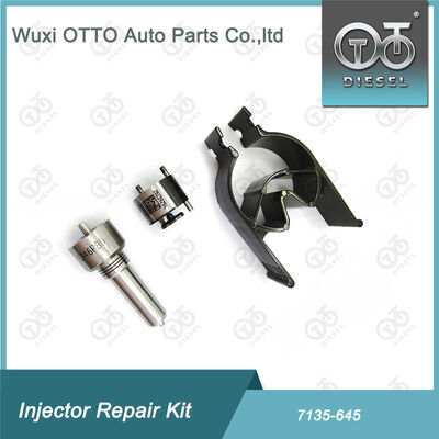 Kit di riparazione dell'iniettore di ugello-valvola Kit di riparazione dell'iniettore di ugello-CVA 7135 - 645 Common Rail