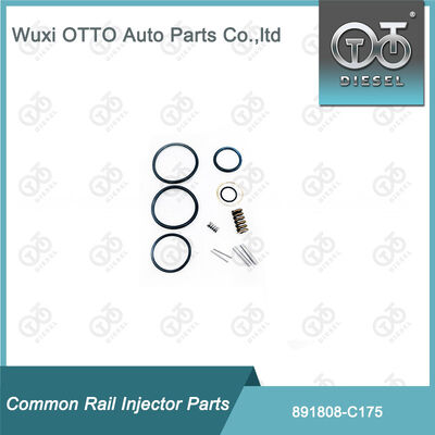 891808 Repair Kit, Suitable for C175 Fuel Injector Overhaul Kit