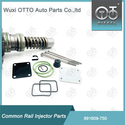 Kit di riparazione di iniettori di carburante 891809-750 per 750 Bosch pompe a singolo iponto