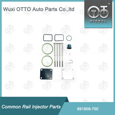 Kit di riparazione di iniettori di carburante 891809-750 per 750 Bosch pompe a singolo iponto
