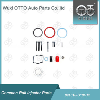 Kit di riparazione degli iniettori di carburante 891810-C10c12 per gli iniettori di carburante della serie CAT C10 / C12