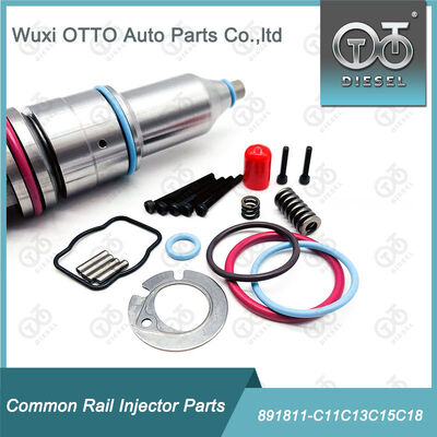 Kit di riparazione degli iniettori di carburante 891811-C11c13c15c18 per gli iniettori di carburante della serie C11 / C13 / 15 / 18