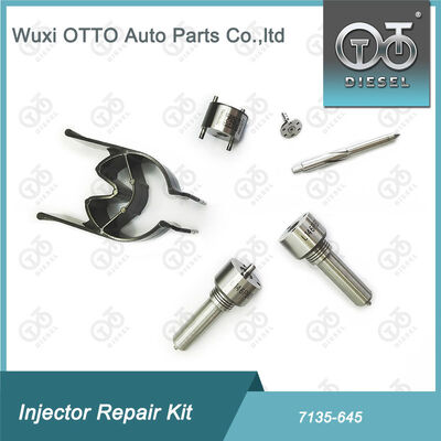 Kit di riparazione dell'iniettore di ugello-valvola Kit di riparazione dell'iniettore di ugello-CVA 7135 - 645 Common Rail